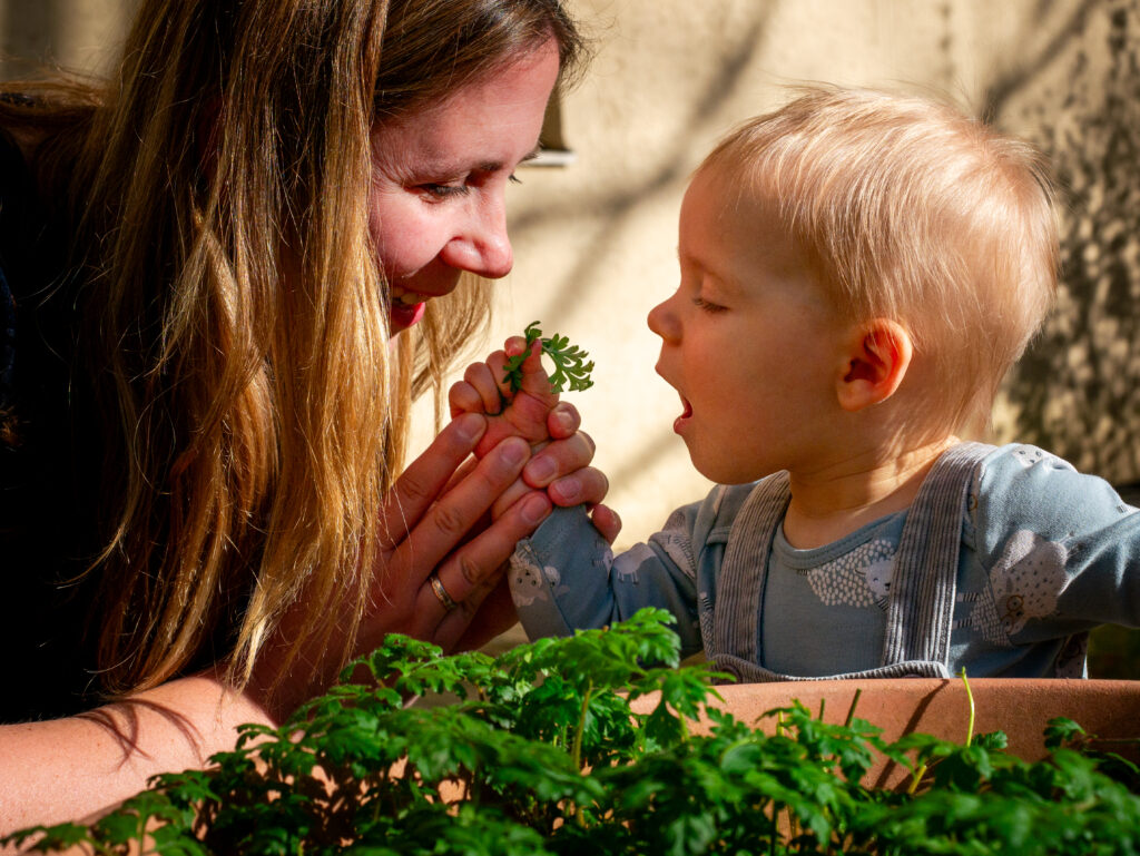 baby probeert plant te eten